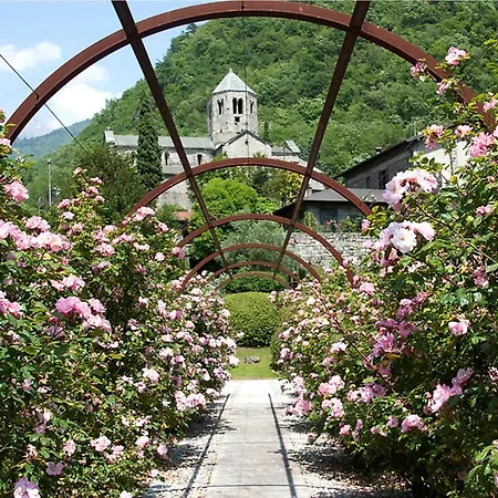 La Rosa Celtica